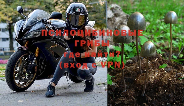 амф Медвежьегорск